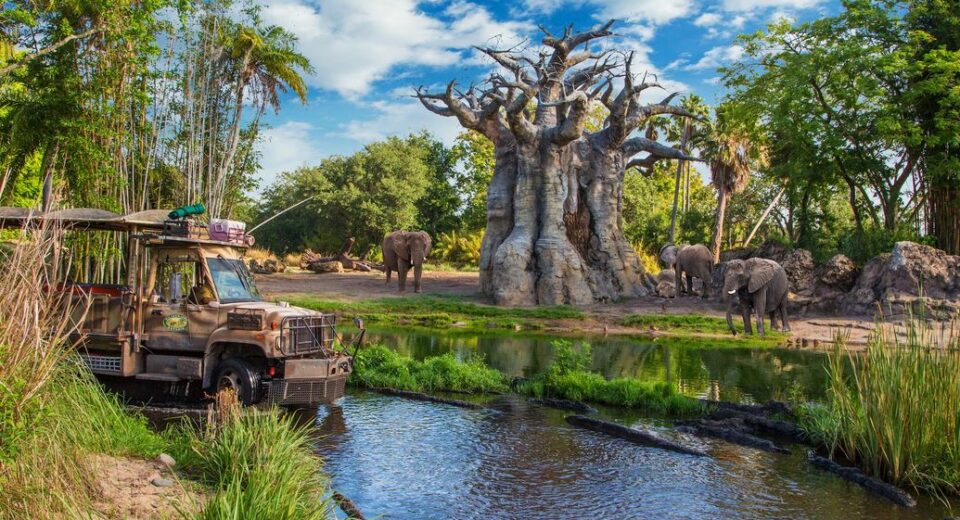 Kilimanjaro Safari a Disney's Animal Kingdom