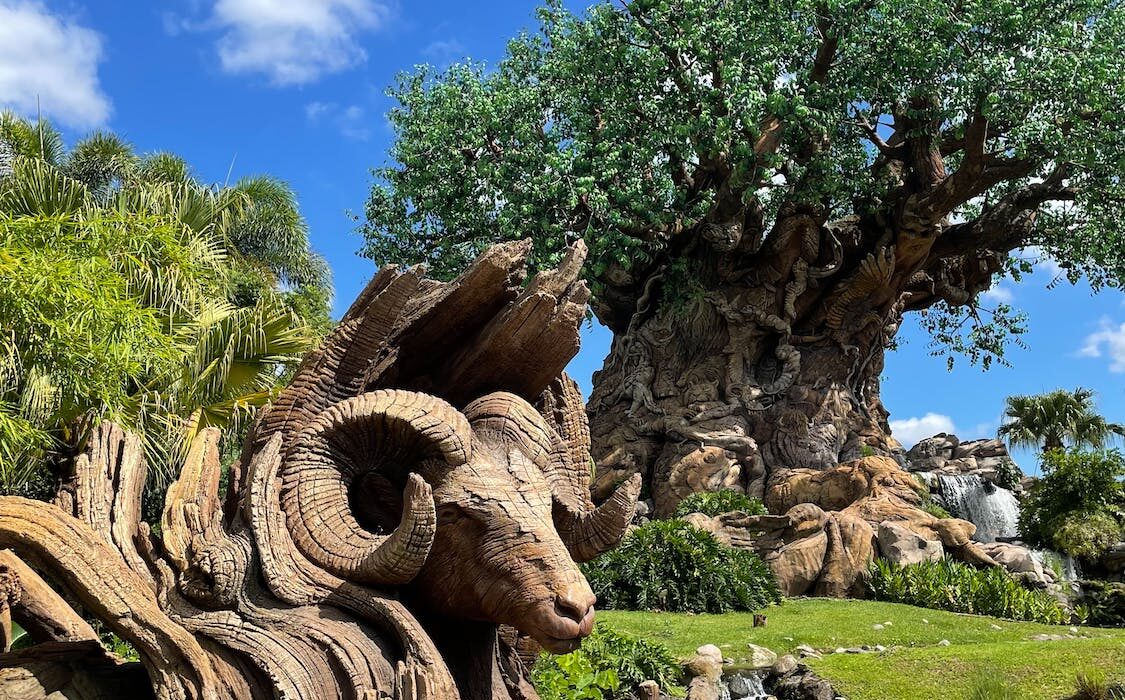 Tree of Life e animali a Discovery Island in Disney's Animal Kingdom