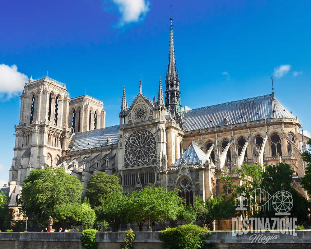 Cattedrale di Notre Dame a Parigi vista dalla senna